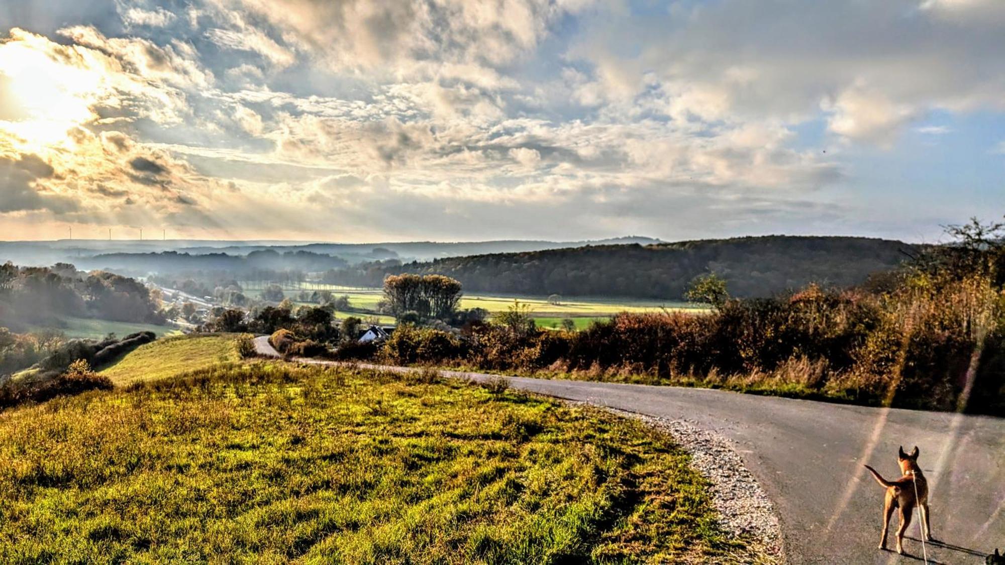 Hotel Panorama Niederfuellbach Luaran gambar